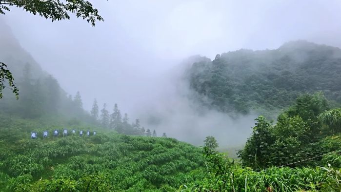 피지컬 토토 사이트